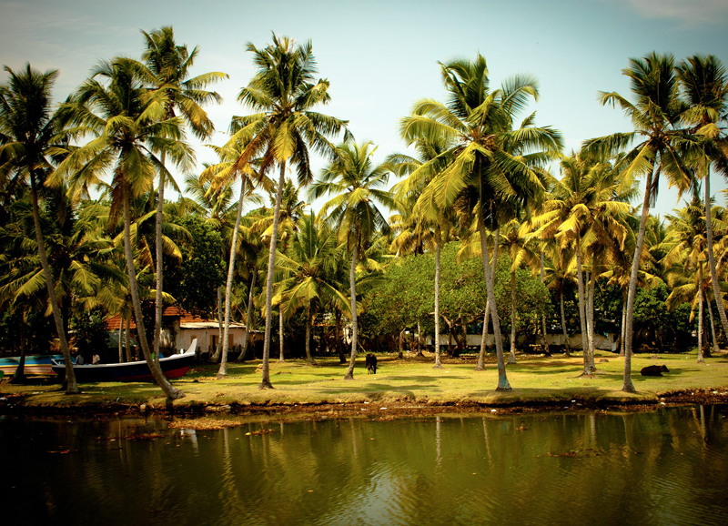 Kerala image no. 2